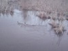 DRED_768111.jpg