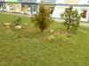 Katia-